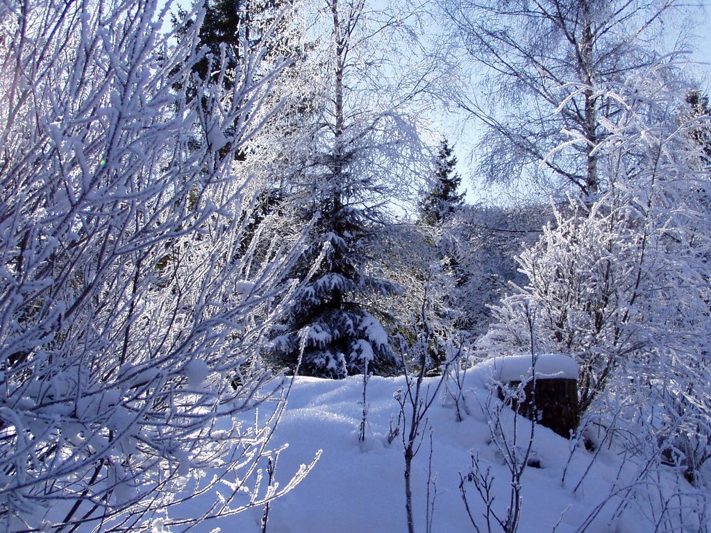 Winterimpressionen am Schluchsee Weihnachten 2007 by armandthelen