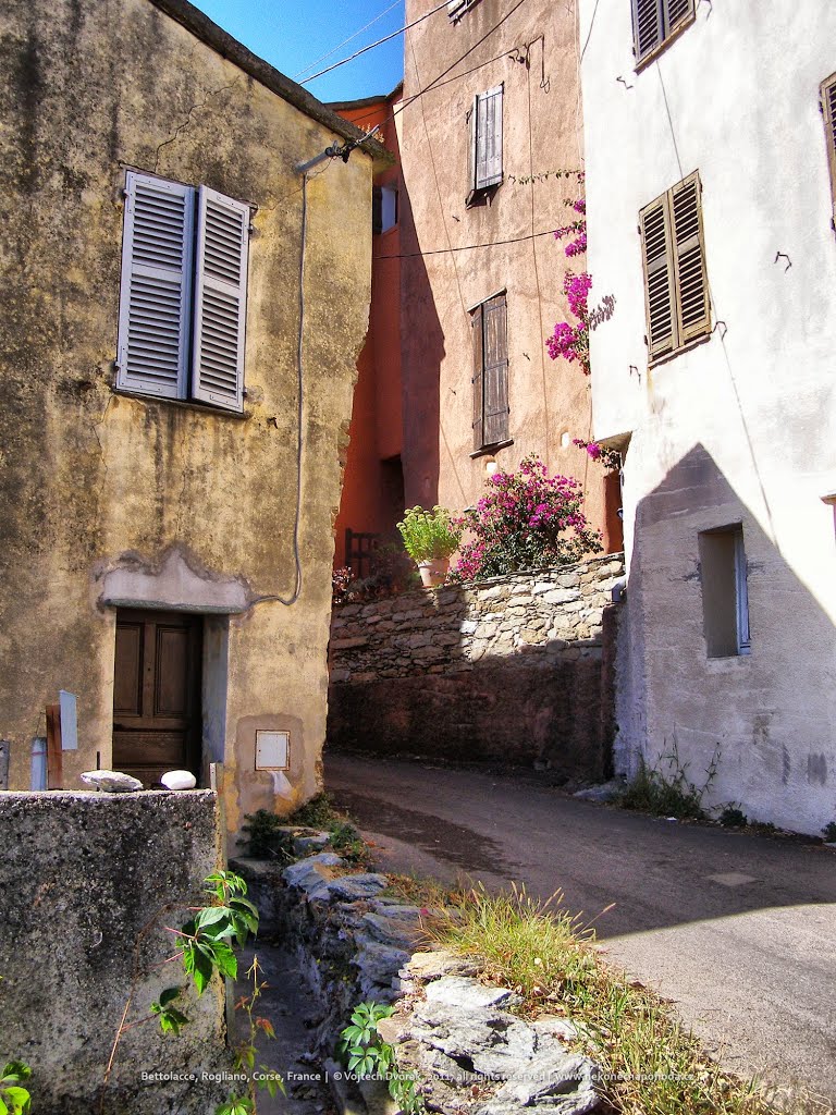 Bettolacce, Rogliano, Quarcioli, Corse, France by Vojtech Dvorak