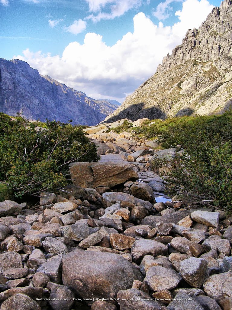 Restonica valley, Guagno, Guagno, Corse, France by Vojtech Dvorak