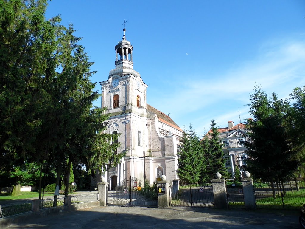 Kościół Wniebowzięcia Najświętszej Marii Panny i św. Andrzeja Apostoła oraz pałac infułatów by drozdzu