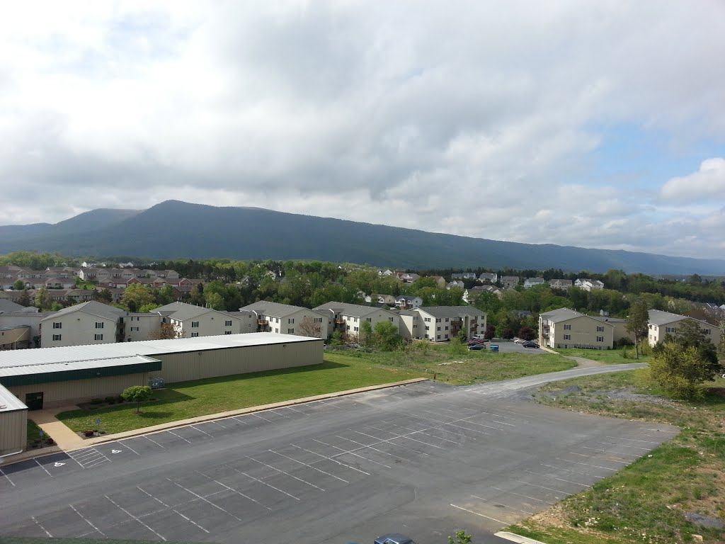 Vue de la tour d'observation vers le sud by Bog