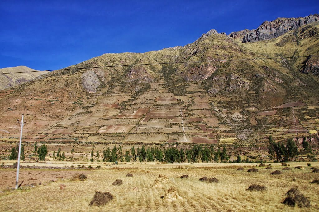 The Andes by Rumiana Koynova-Tenchova