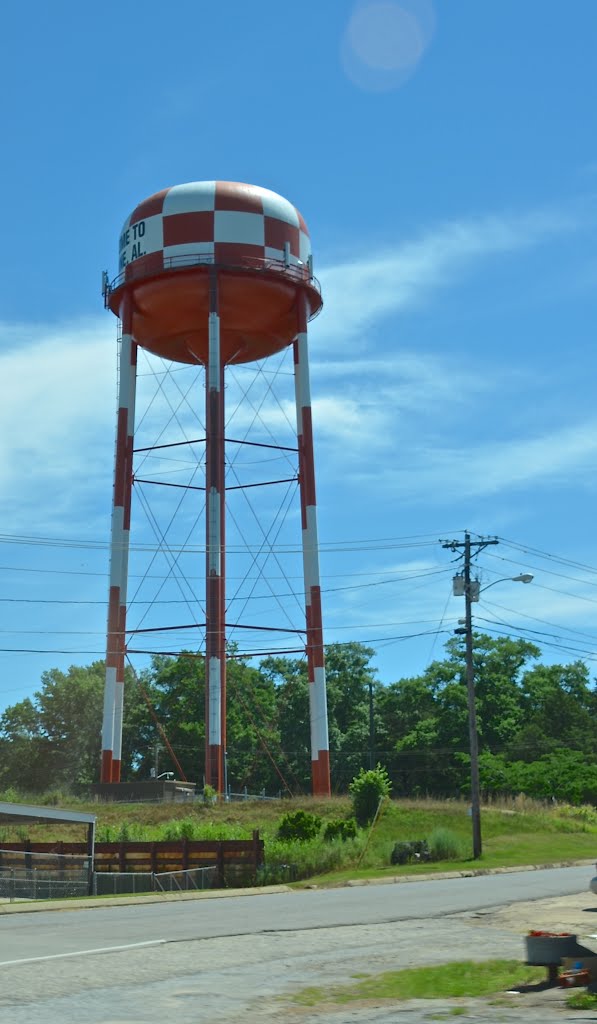 Luverne, AL water tower by Buddy Rogers