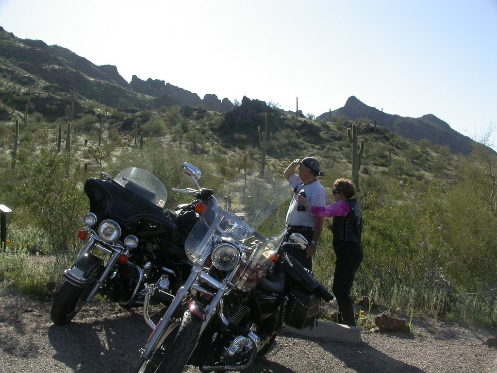 Picacho Peak State Park, 3/9/2008 by Max Richard