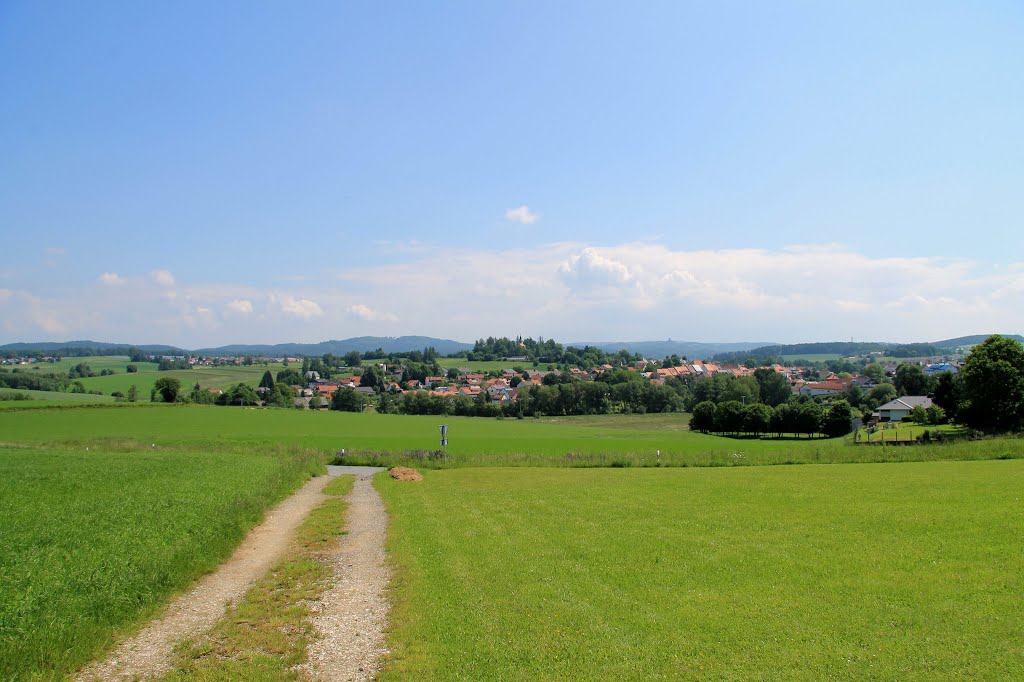 Bocklweg bei Floss by Schrottie