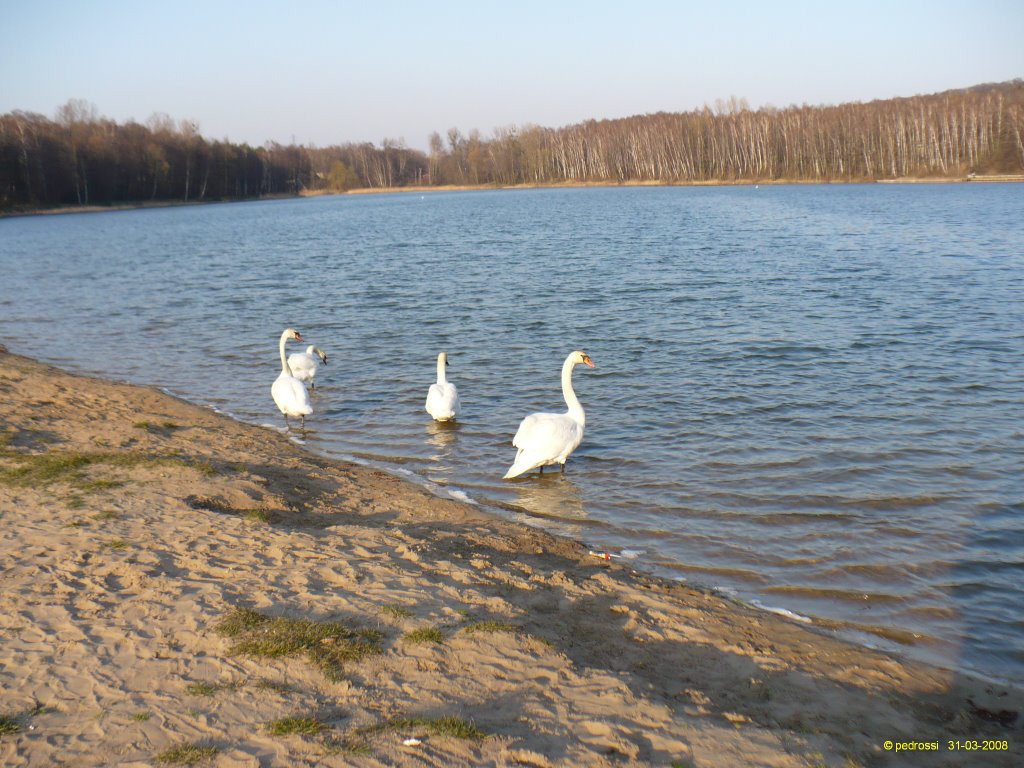 Dobieszowice, Poland by pedrossi