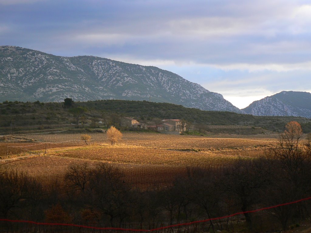 Dawn from The Domaine de Cambezard by martin_souchay