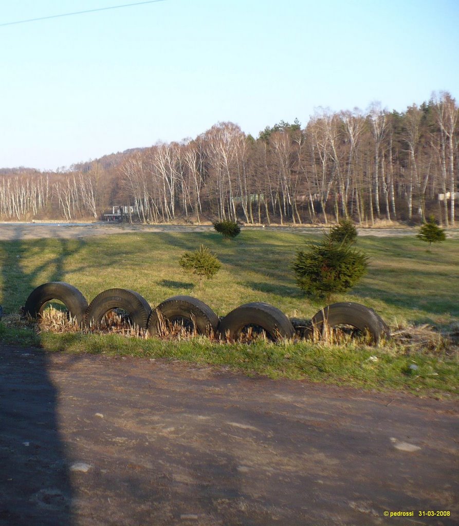 Dobieszowice, Poland by pedrossi