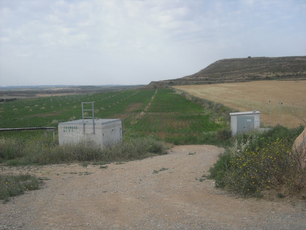 Alfés (Segrià, Lleida) 2013 by Álvaro Fernández