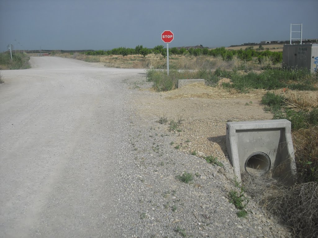 Alfés (Segrià, Lleida) 2013 by Álvaro Fernández