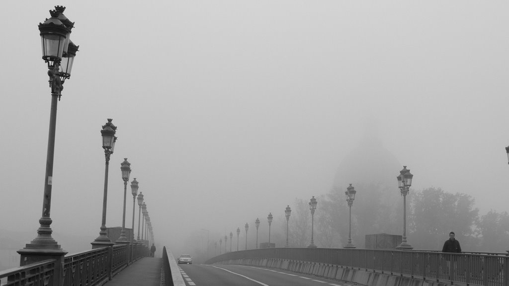 Saint-Pierre bridge in the morning fog by martin_souchay