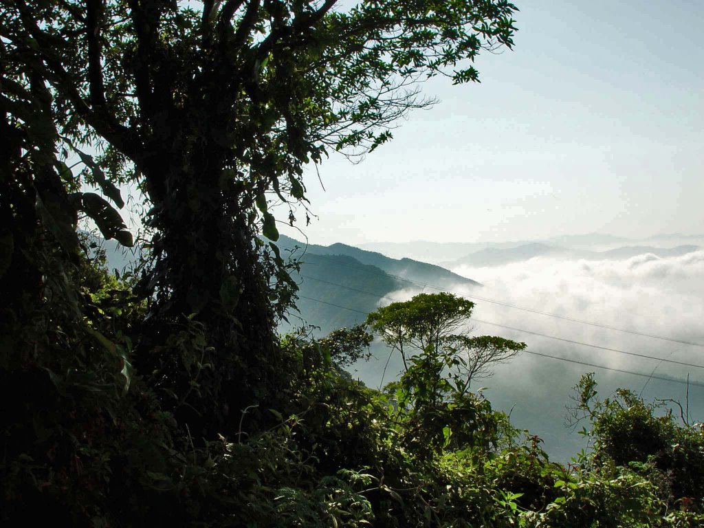 Alto da Serra do mar São Paulo/Santos by C_A_Andrade