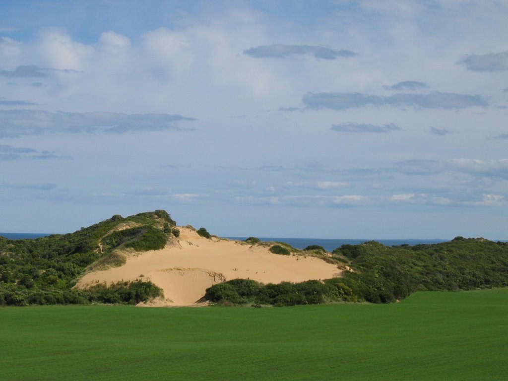 Sand dune at The Crags, Port Fairy by Martin Zustak