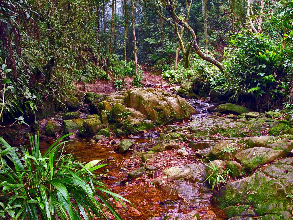 Alto da Serra do mar São Paulo/Santos by C_A_Andrade