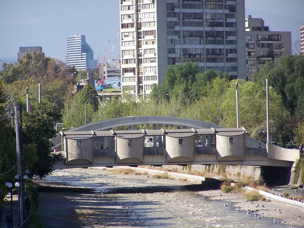 Puente Del Arzobispo by Manuel Estay