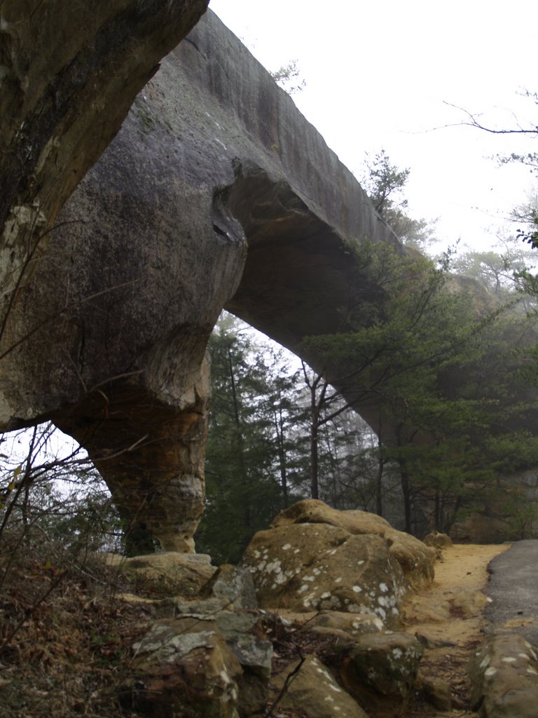 Sky Bridge by Blue Maple Photograp…