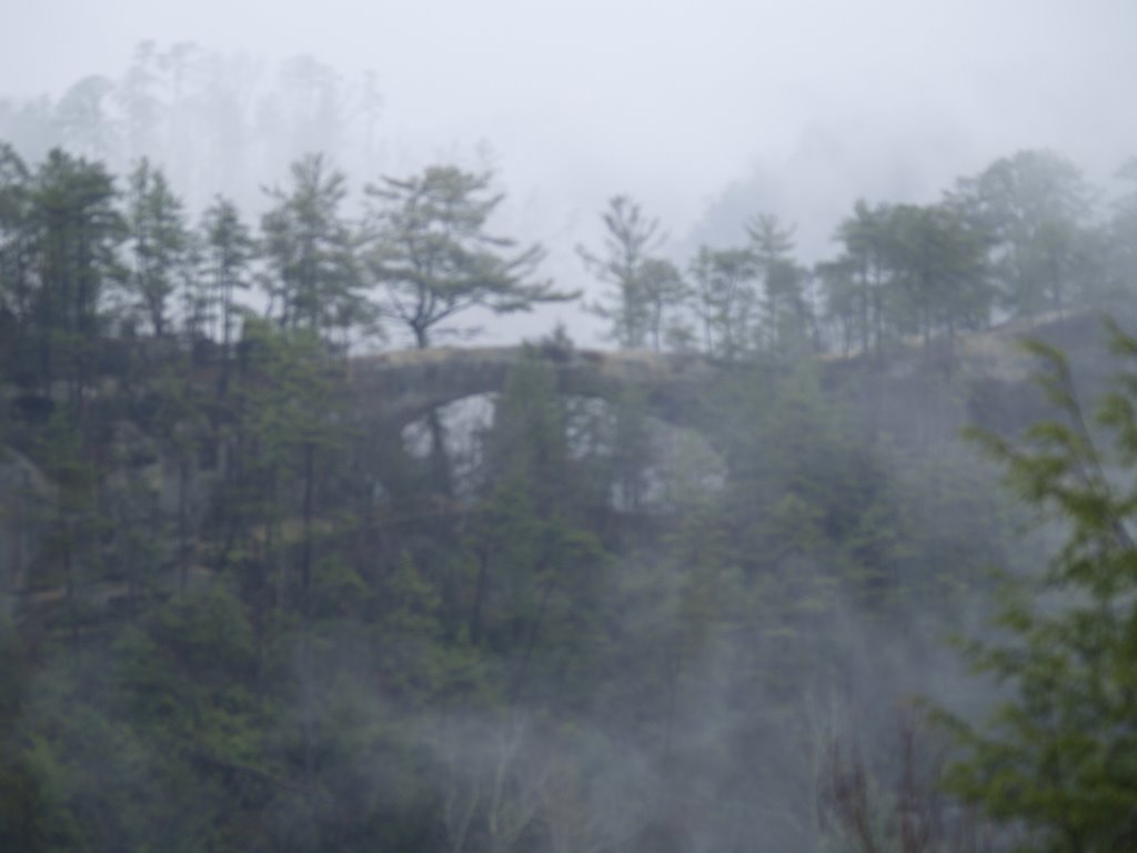 A Foggy Sky Bridge by Blue Maple Photograp…