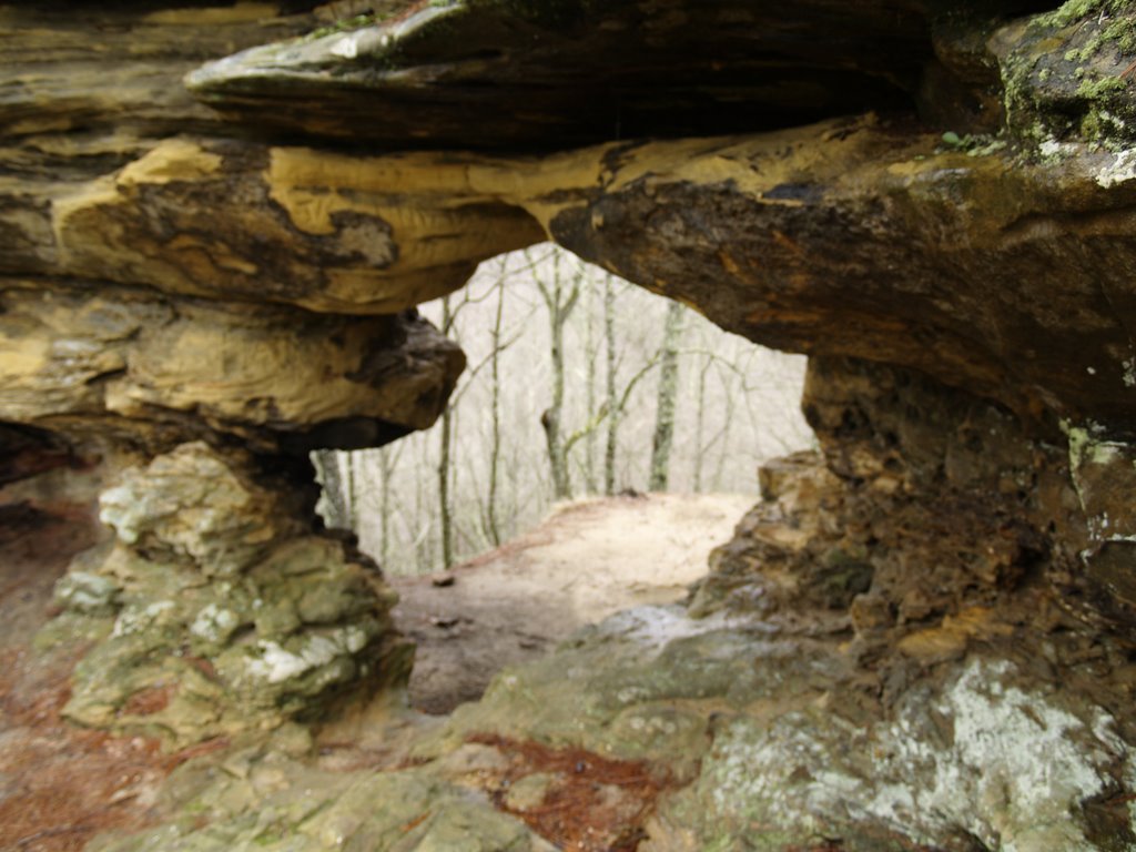 Half Moon Arch by Blue Maple Photograp…