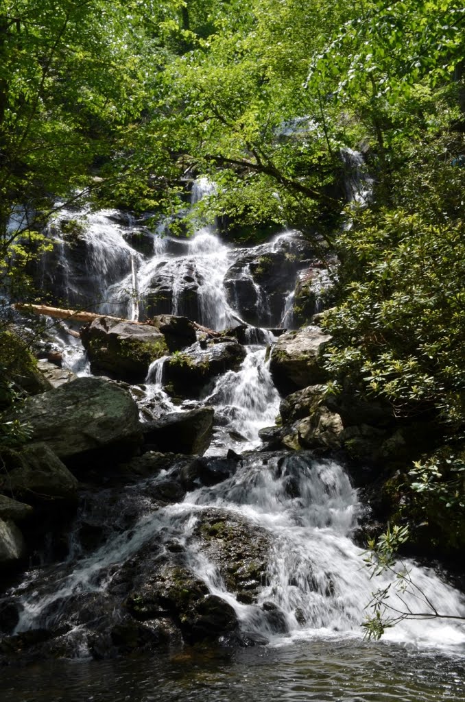 Catawba Falls by Justin P