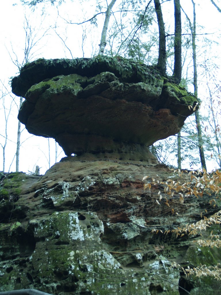 Balanced Rock at Natural Bridge State Park, KY by Blue Maple Photography