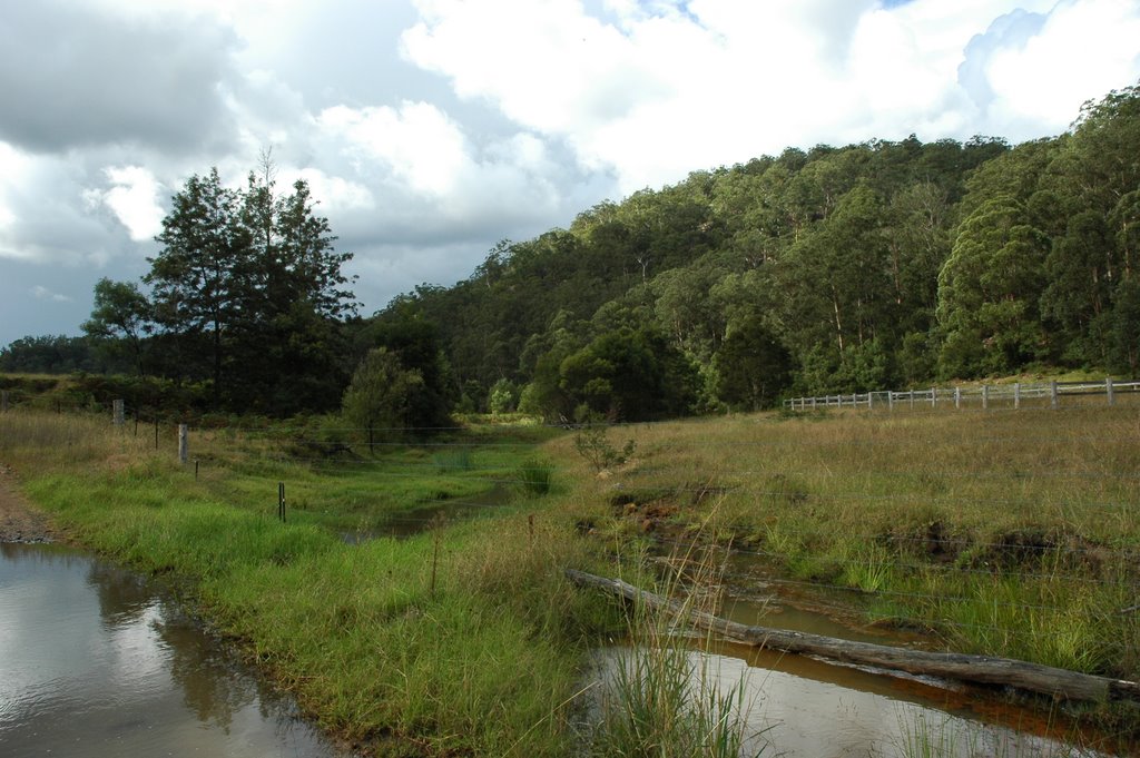 Paynes crossing by goud