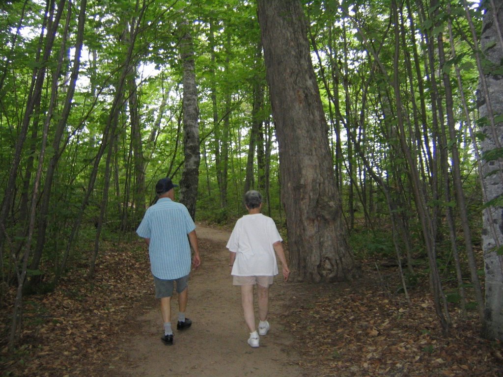 Trail to AuSable Falls by clan_keith