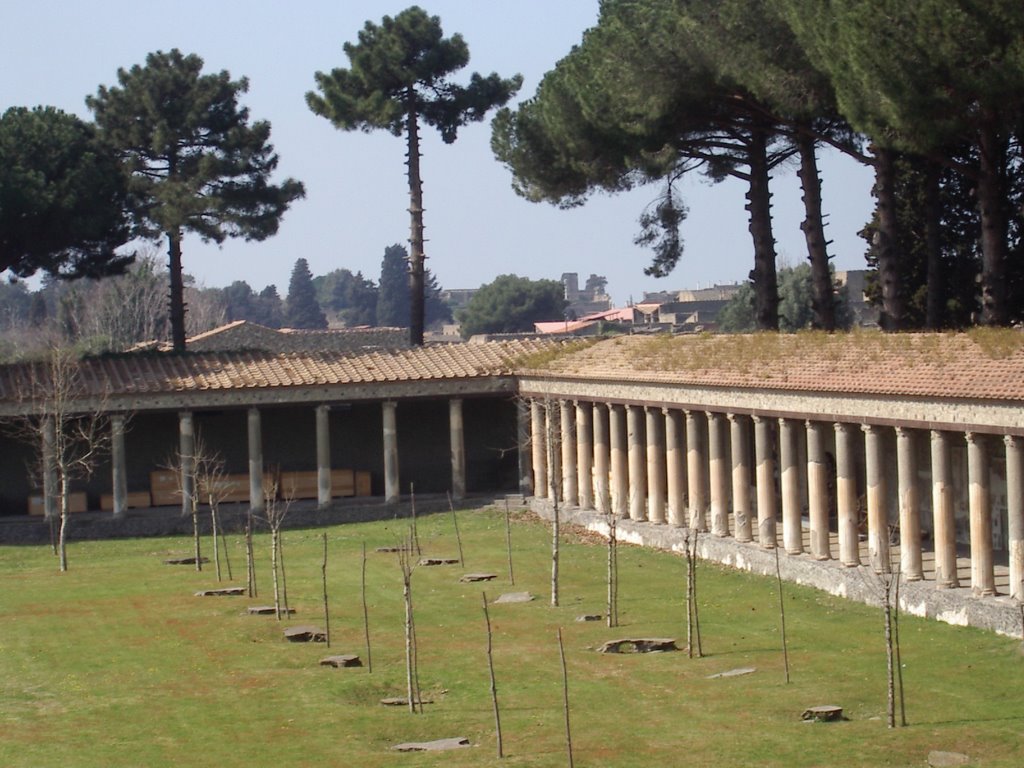 Pompei by Filippo Perrella