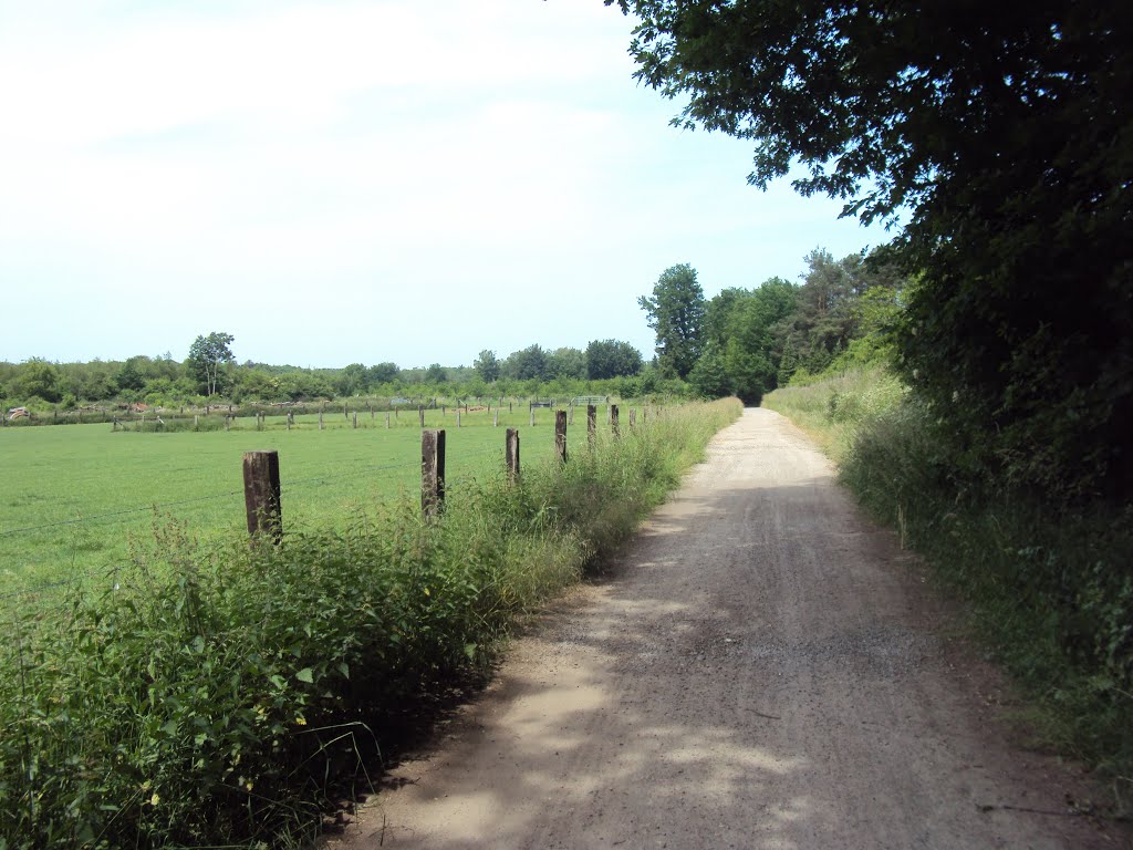 Dijlewandeling (juni 2013) by Wandelen rond Leuven | Hiking around Leuven (