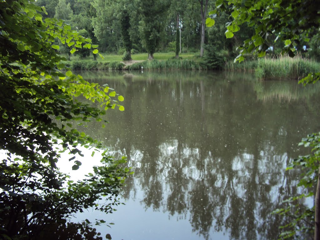 Dijlewandeling (juni 2013) by Wandelen rond Leuven | Hiking around Leuven (