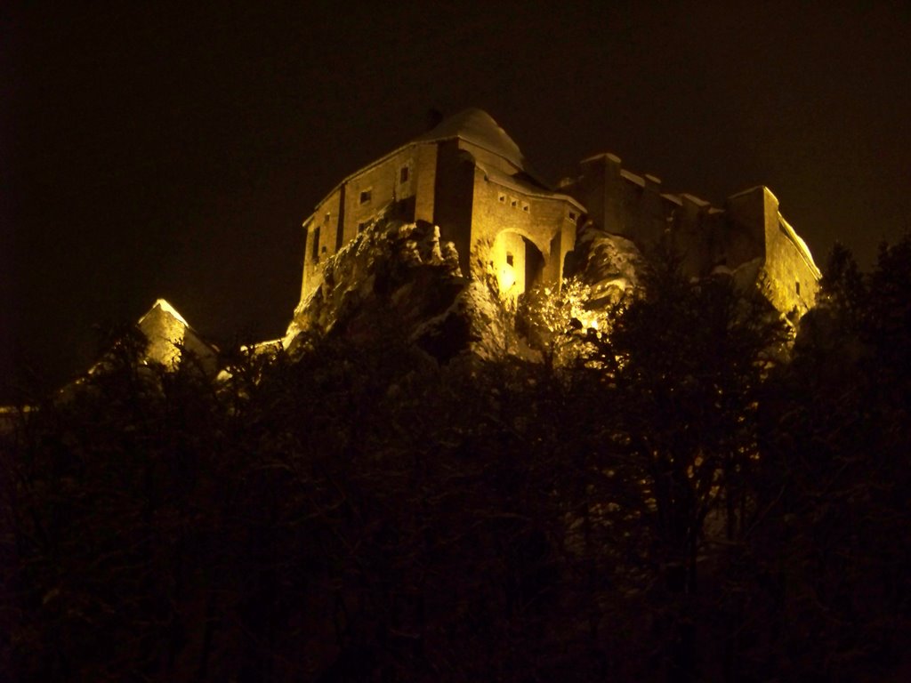 Château de Joux la nuit en hiver by leloupch