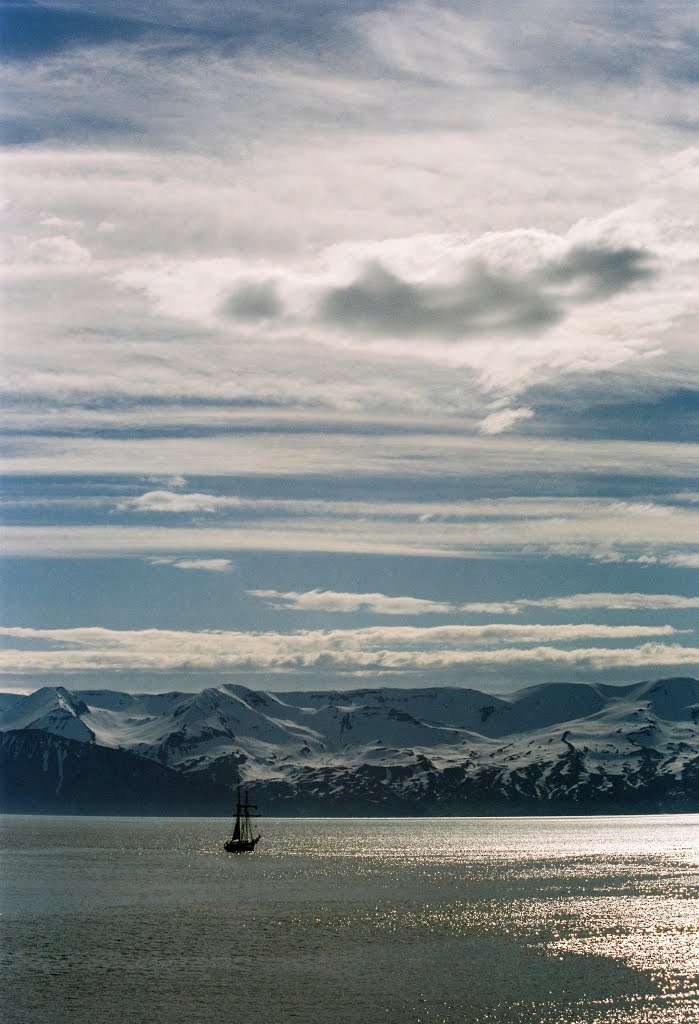 On Reede before the Harbour of Husavik by Zappelzappa