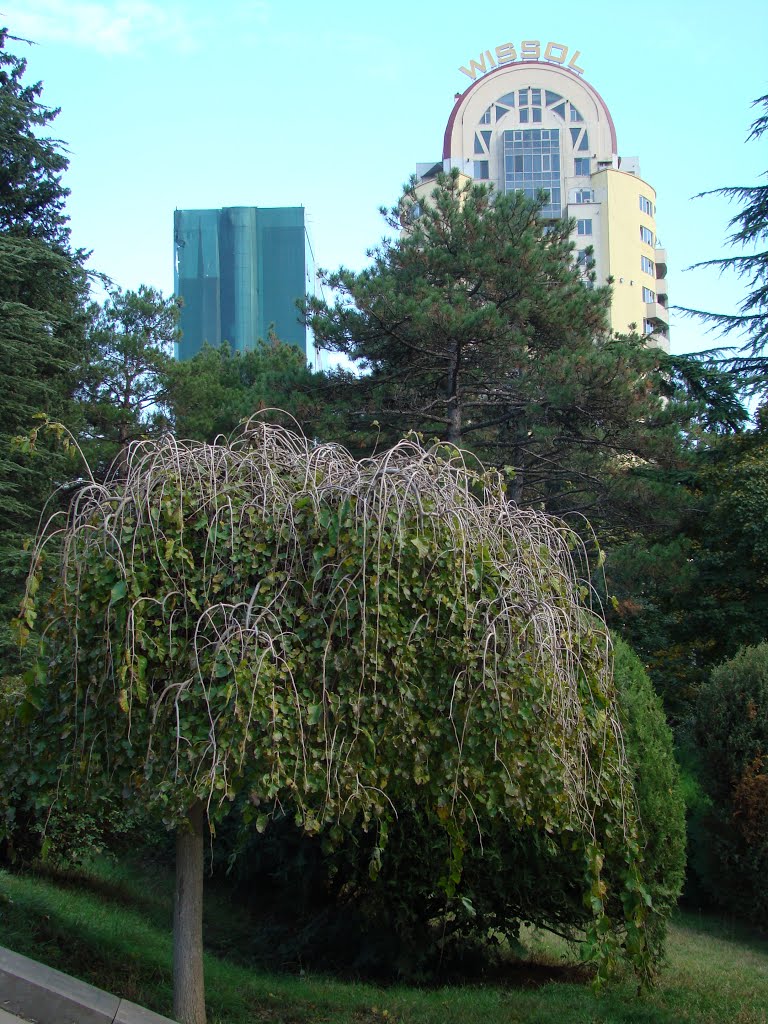 Wissol Petroleum Georgia HQ, Tbilisi by PlamenB