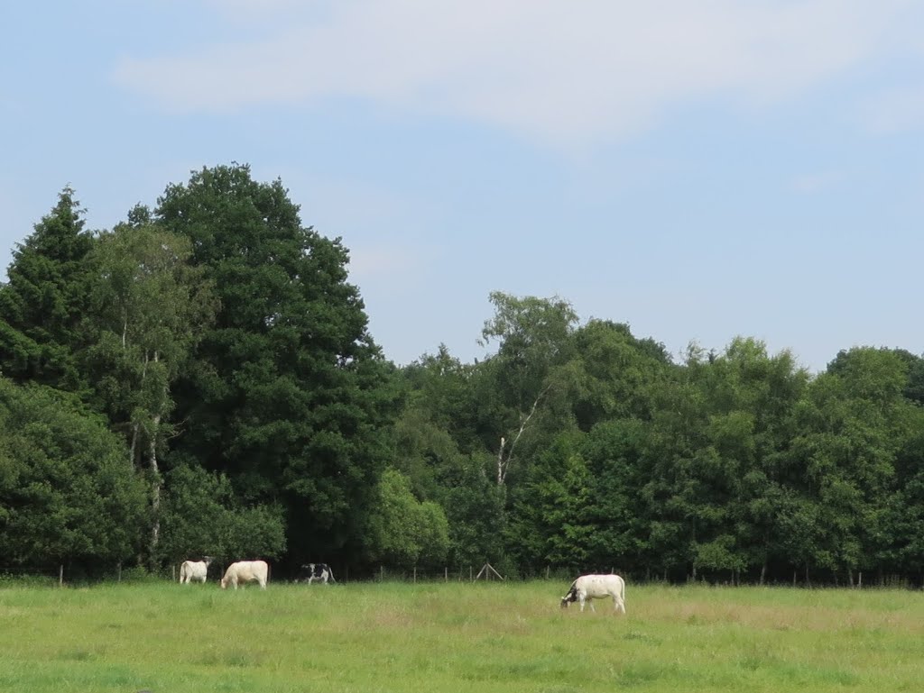 NL - Swalmen - De Lanck by Danny Danckaert