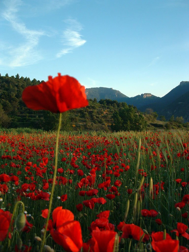 Vista de la Fresnedilla by david mA