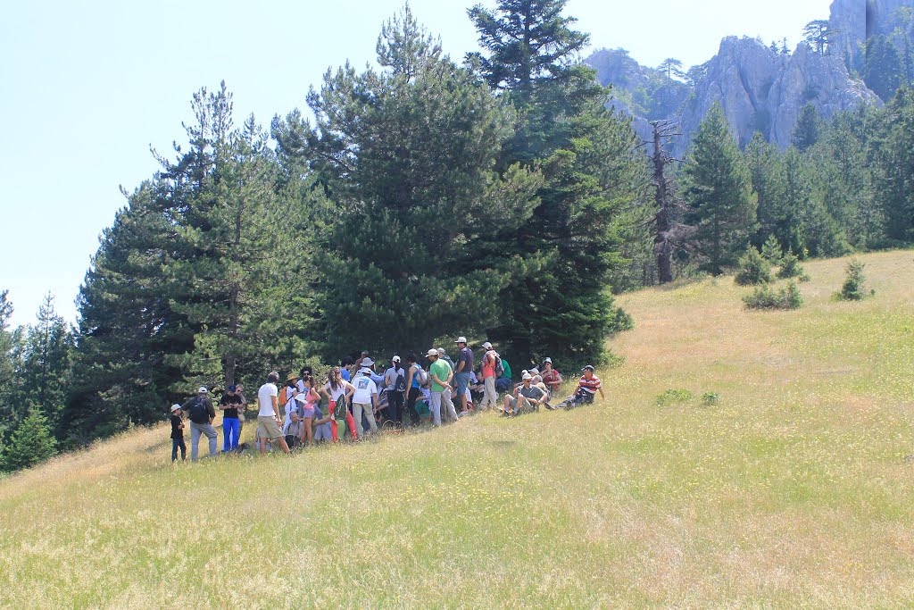 Πεζοπορία στο Εθνικό Πάρκο Βόρειας Πίνδου..(Trekking in Northern Pindos National Park) by periklis siopis