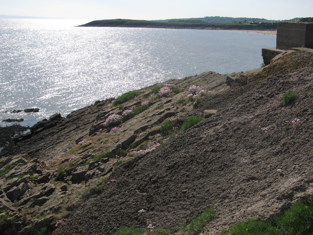 Thrift on the Rocks by dave_roberts_wales