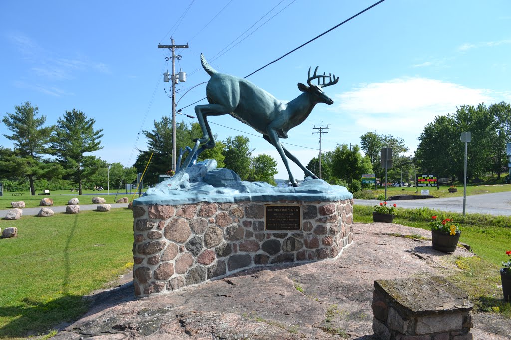 Ontario Buckhorn by Jamie Cane