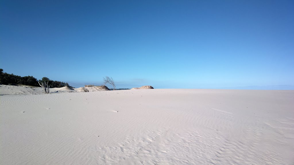 «-vittoriogomezzi-»™ Parque del plata - Canelones - Uruguay by vittoriogomezzi