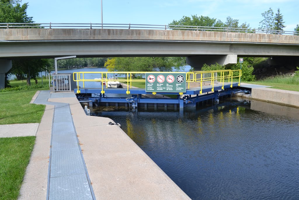 Ontario Buckhorn - Lock 31 by Jamie Cane