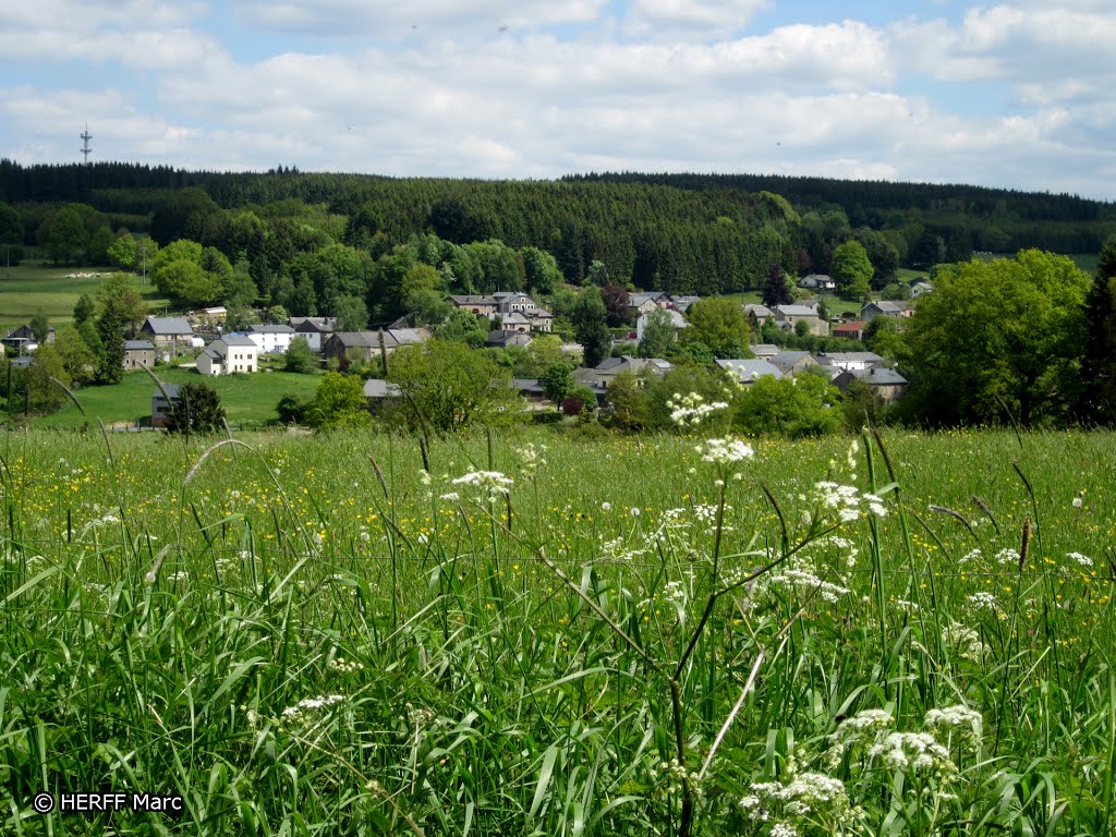 Bèche: Blick auf den Ort Cierreux by Wandern in Ostbelgien