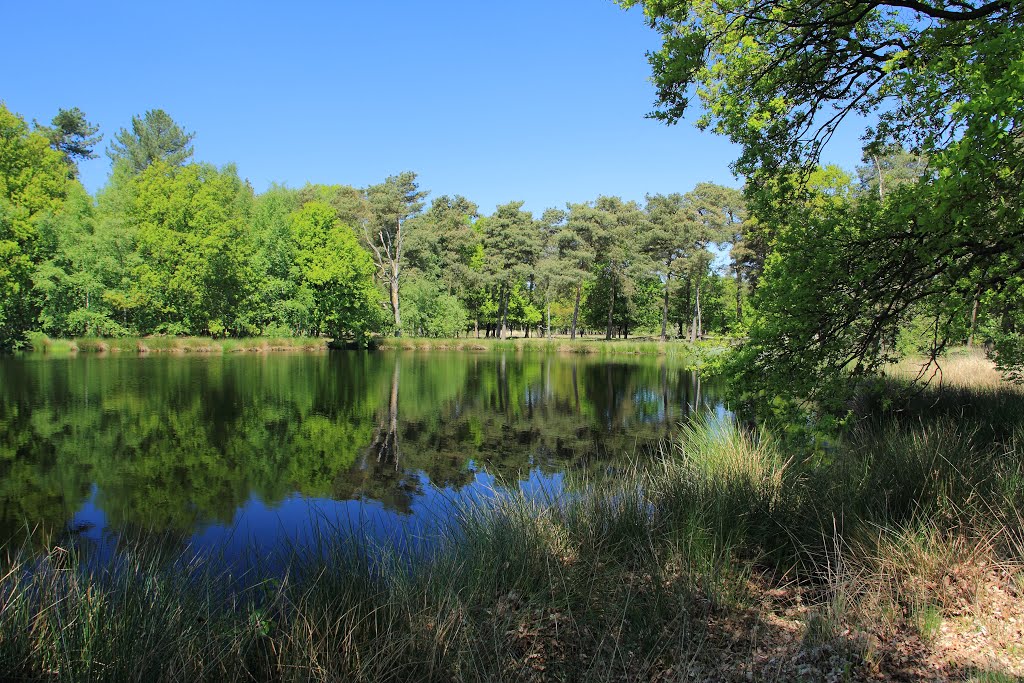 Dwingelderveld Drenthe by W van Dijk