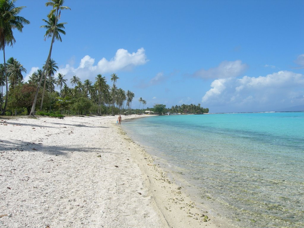 Moorea by Alessandro Rossin