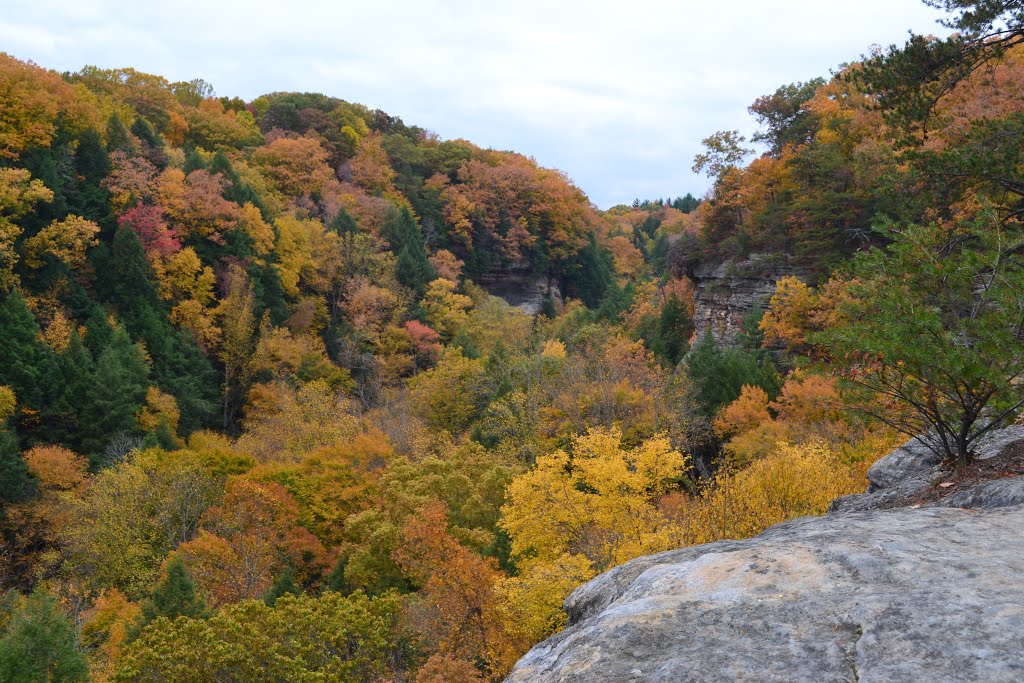 Conkles Hollow rim trail by t_celm