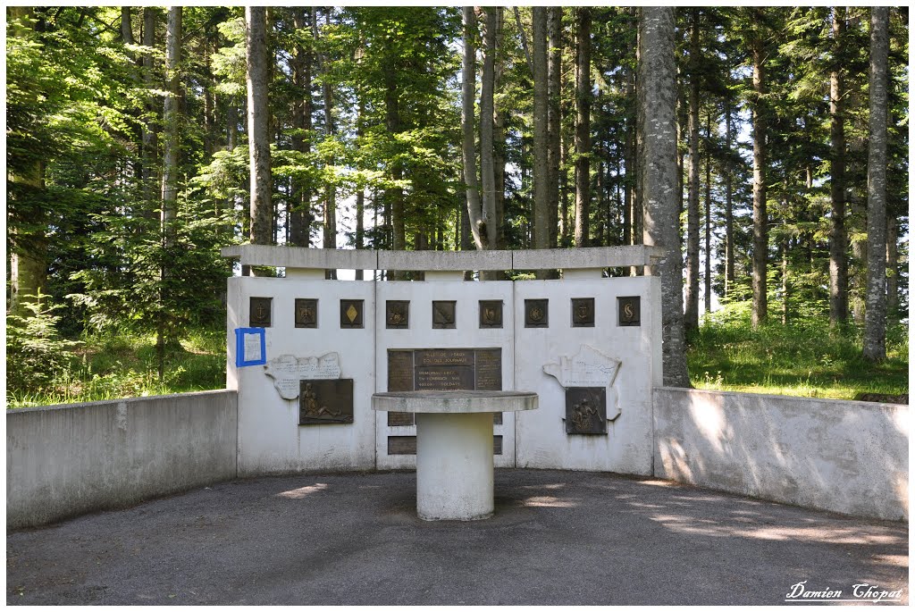 Mémorial de la Guerre 1914 ( Col des journaux foret de Fraize) by Damien CHOPAT