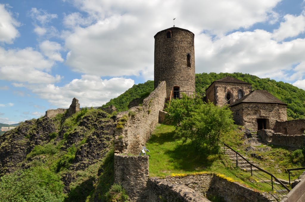 Hrad Střekov by Zdeněk Vondra