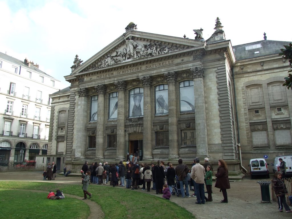 Museum d'histoire naturelle by Tom Sawyer