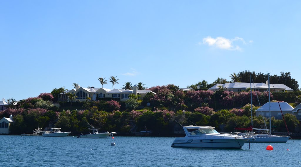 Houses at the end of Point Shares Rd, Bermuda by uclynch