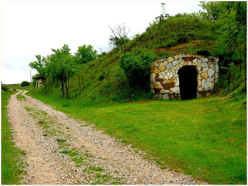 Bodega en el camino - León by Karppanta