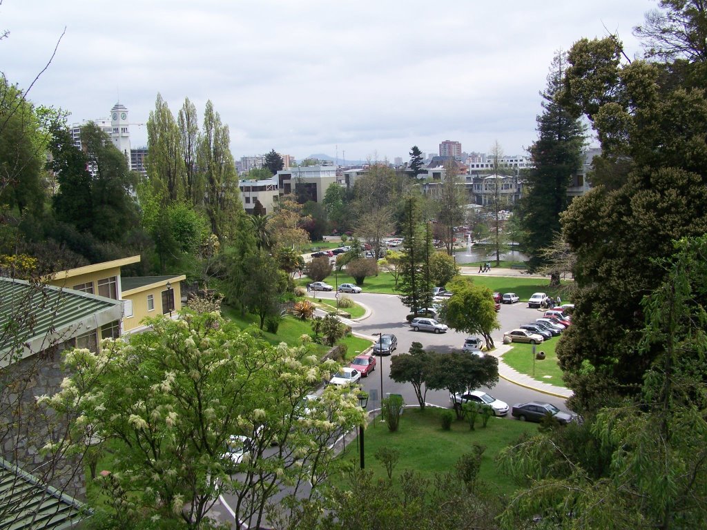 Universidad de Concepción by Manuel Narváez