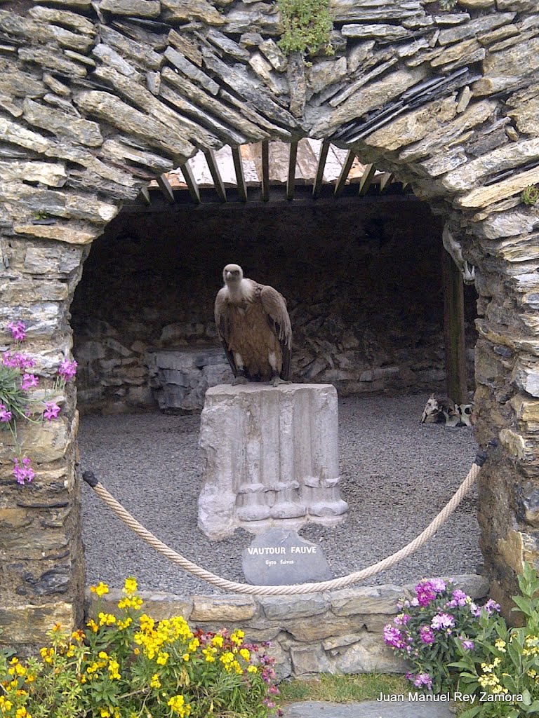 Donjon des Aigles - Beaucens - Hautes Pyrenees - 3 de mayo de 2013 by Juan Manuel Rey Zamora